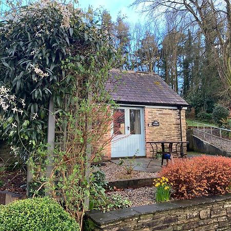 Maristow Cottages, Overlook Tamar Valley Dartmoor 플리머스 외부 사진