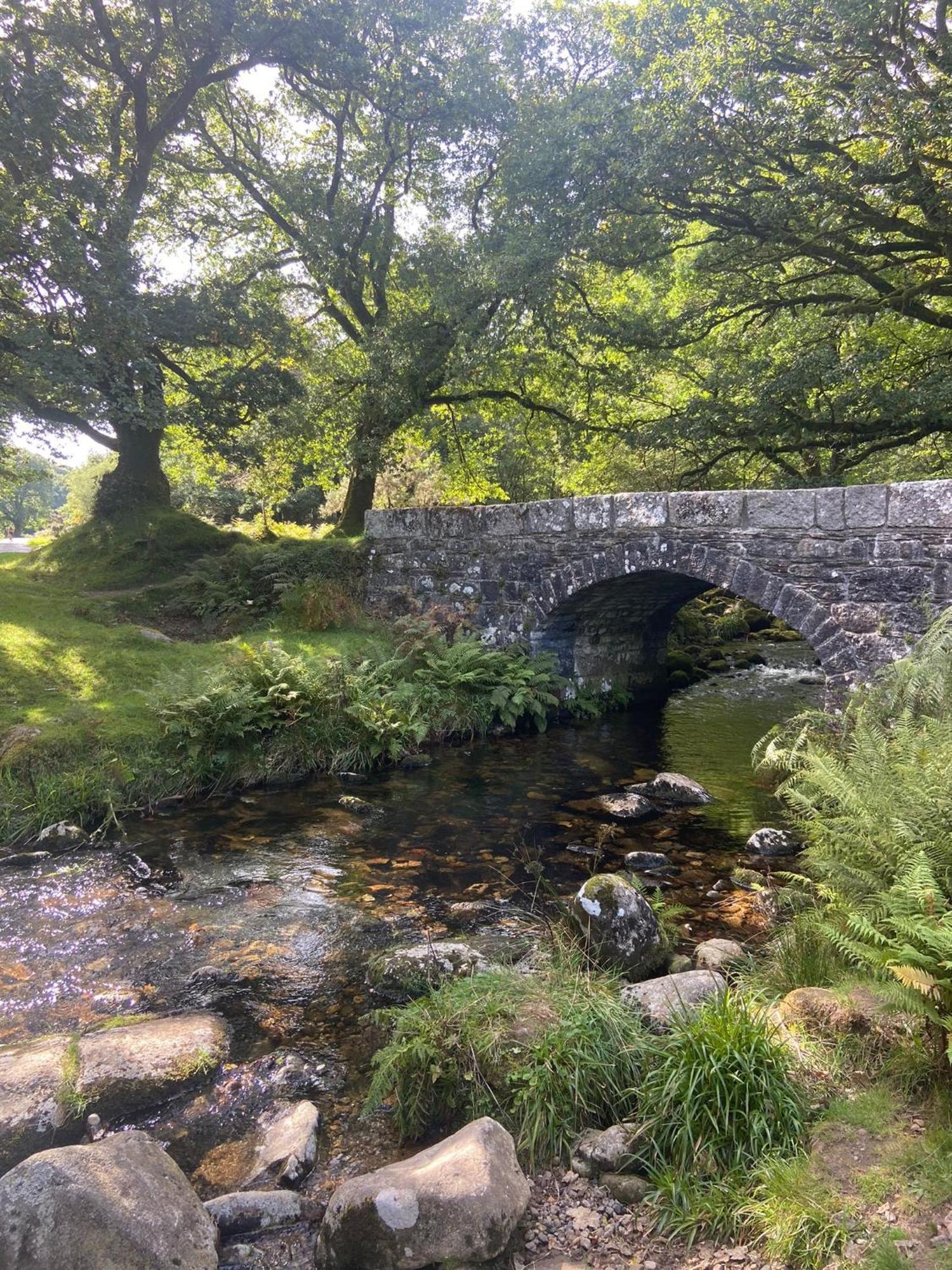 Maristow Cottages, Overlook Tamar Valley Dartmoor 플리머스 외부 사진