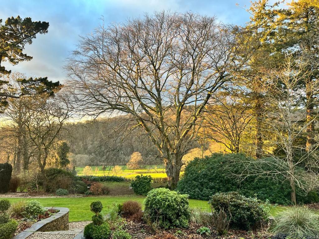Maristow Cottages, Overlook Tamar Valley Dartmoor 플리머스 외부 사진