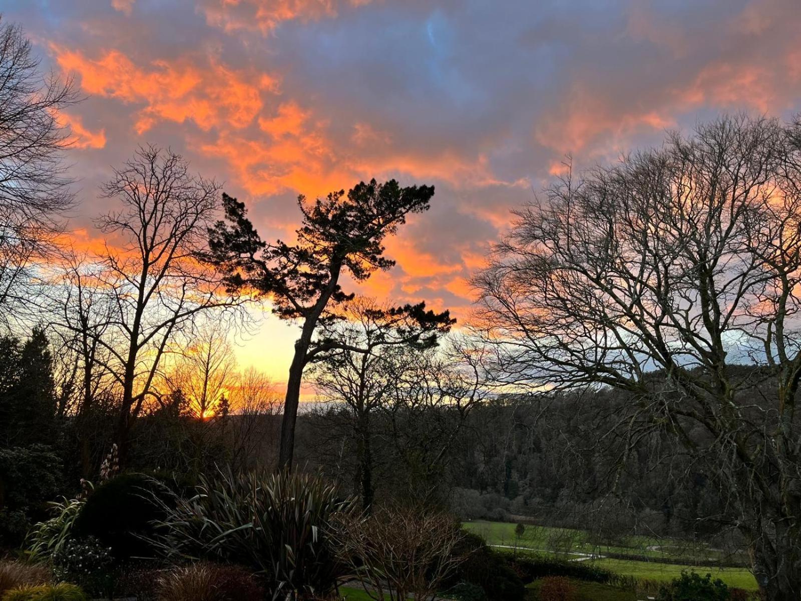 Maristow Cottages, Overlook Tamar Valley Dartmoor 플리머스 외부 사진